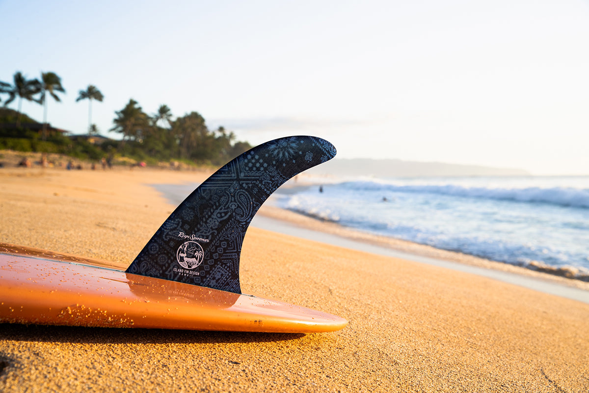 Spooner Spotlight: Island Fin