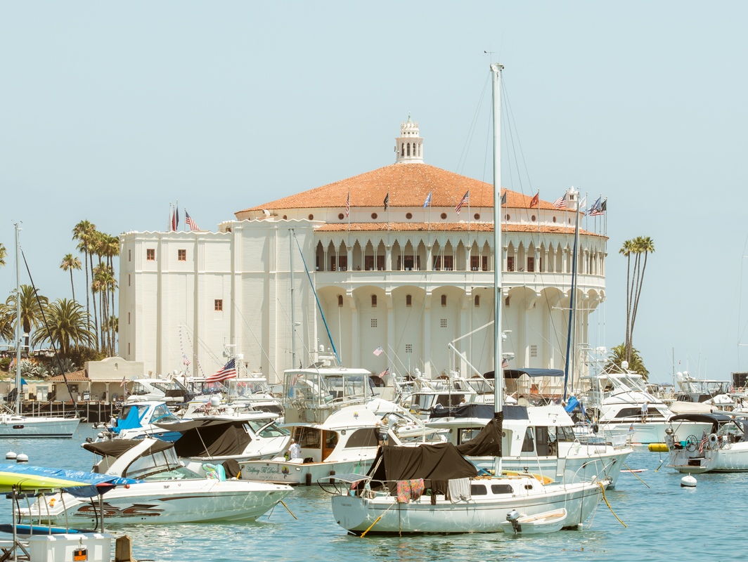 Spooner Spotlight: Buoys & Gulls