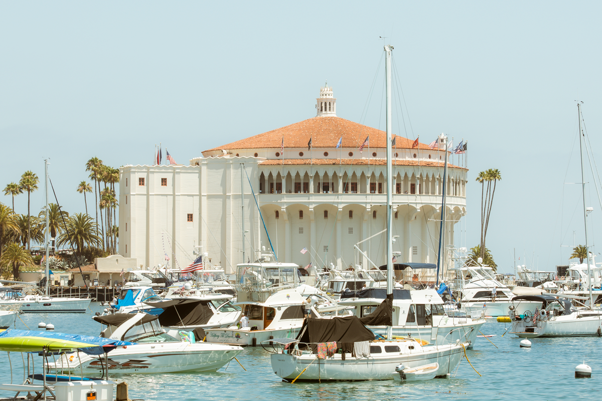 Spooner Spotlight: Buoys & Gulls