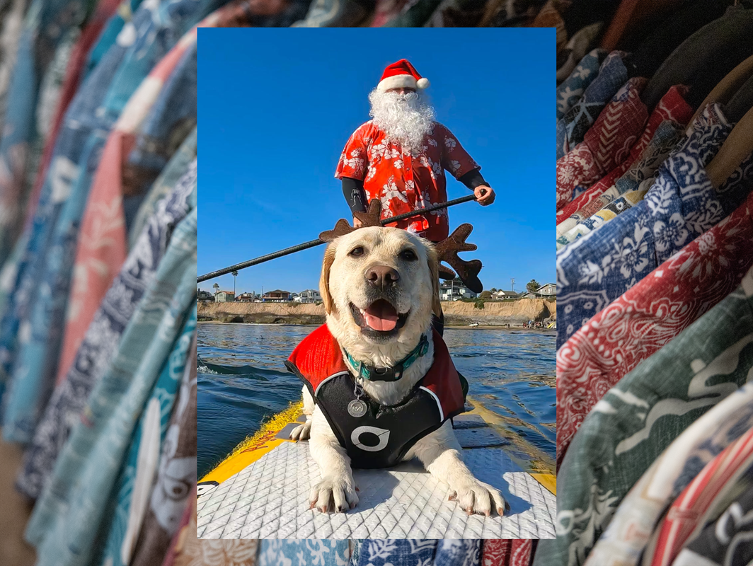 Collector’s Closet Holiday Edition: Steve Drottar