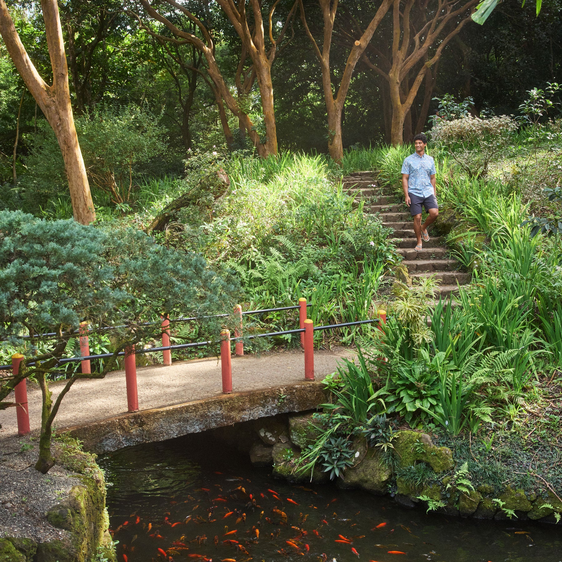 all-groups Lifestyle-04