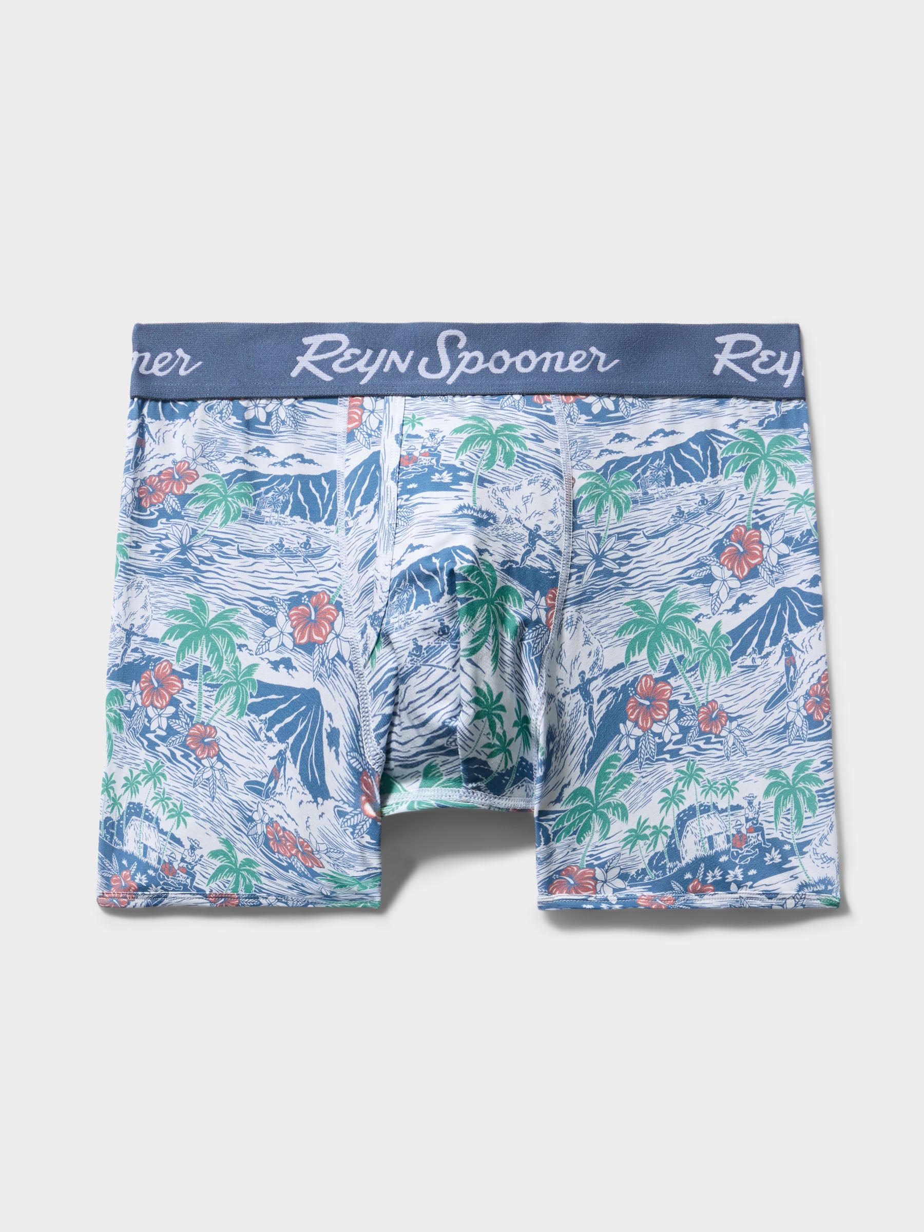 Reyn Spooner PARADISE FOUND BOXER BRIEFS in BLUE