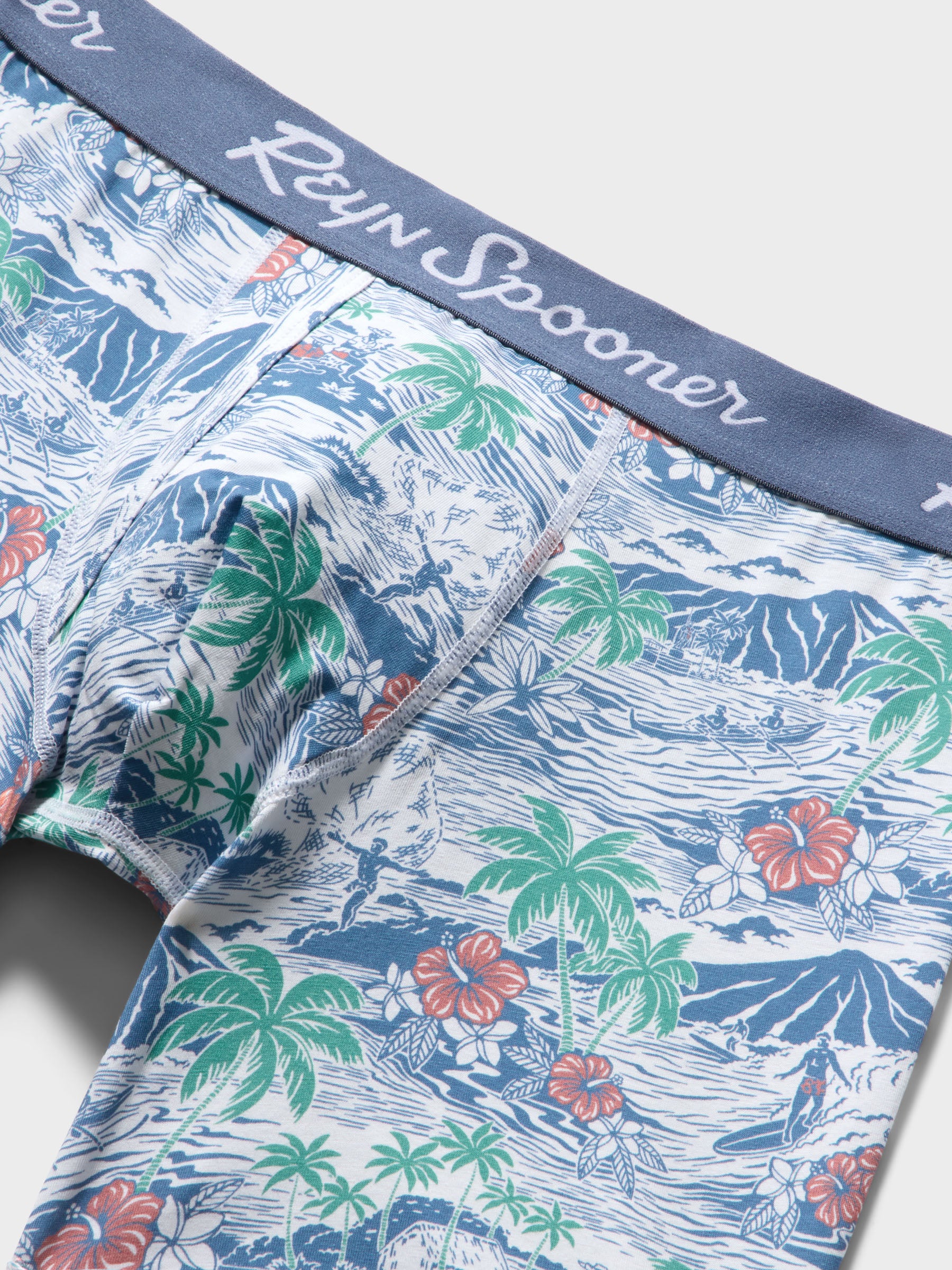 Reyn Spooner PARADISE FOUND BOXER BRIEFS in BLUE