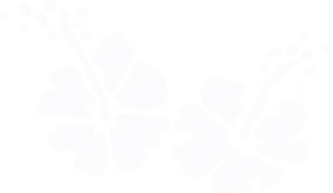Newsletter image