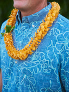 all-groups Lifestyle-03