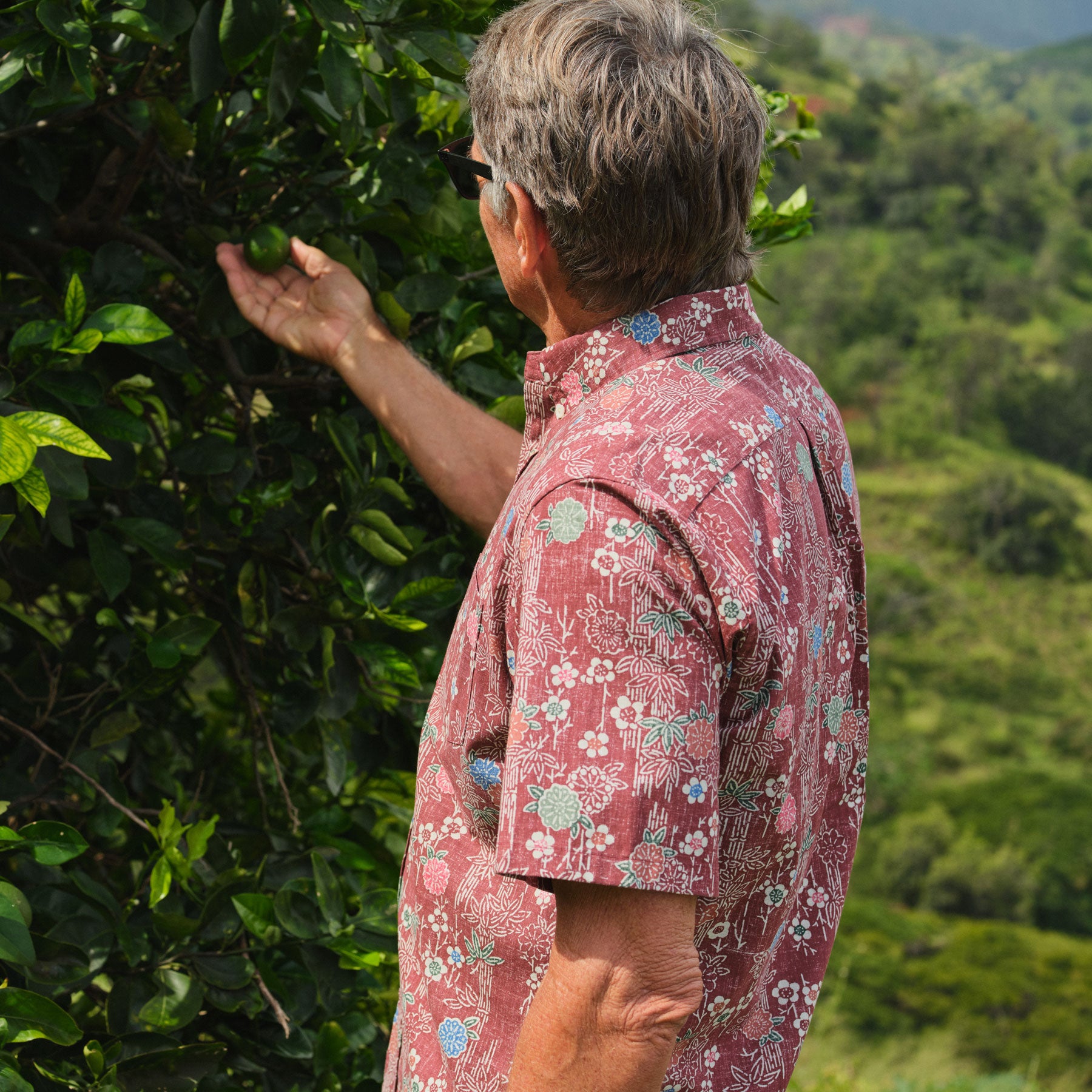 reyn spooner First Hawaiian Bank シャツ s-l1200.jpg