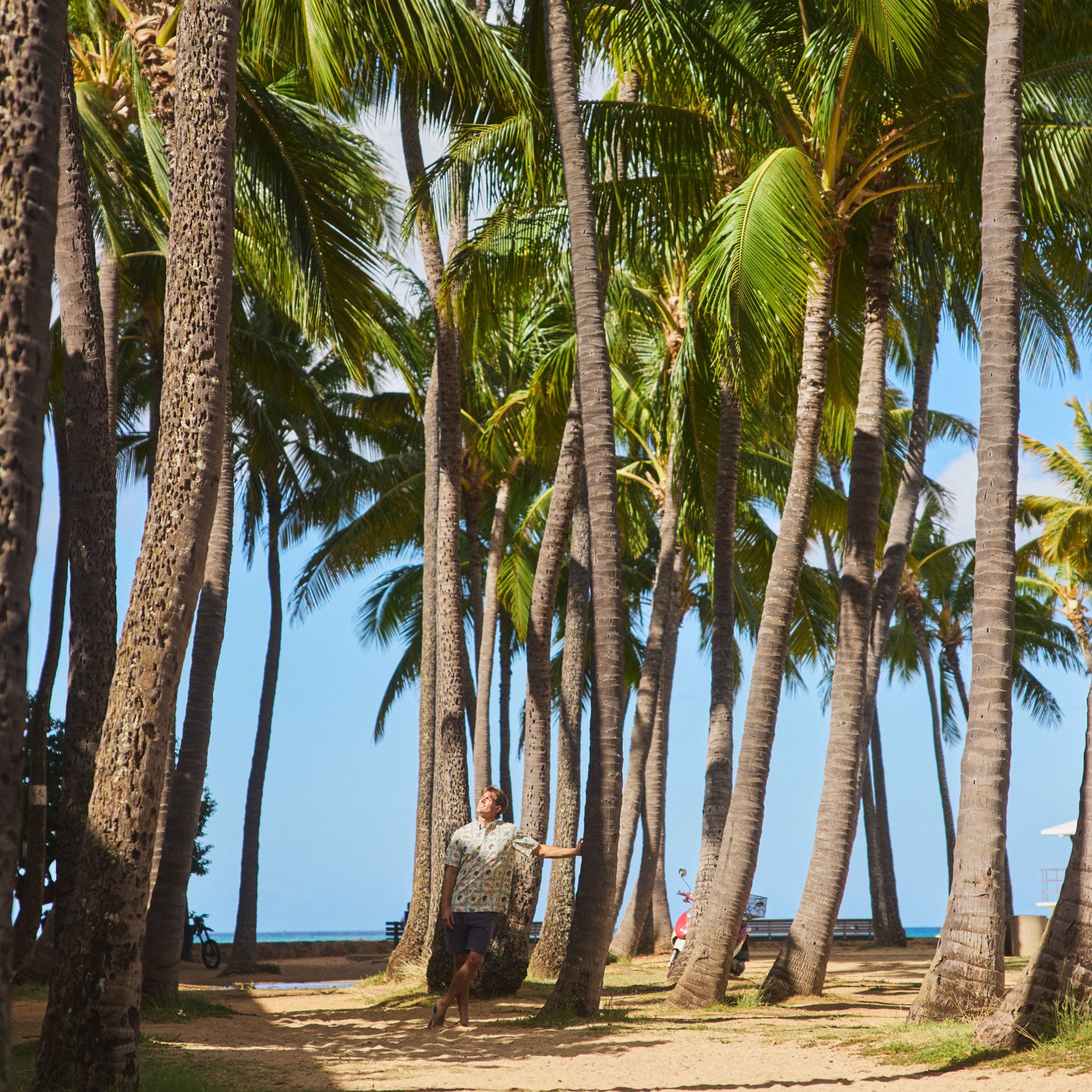 all-groups Lifestyle-07