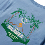 Reyn Spooner VOLCANO GRAPHIC TEE in SLATE
