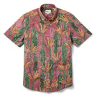 Reyn Spooner BIRDS IN BLOOM TAILORED in APPLE