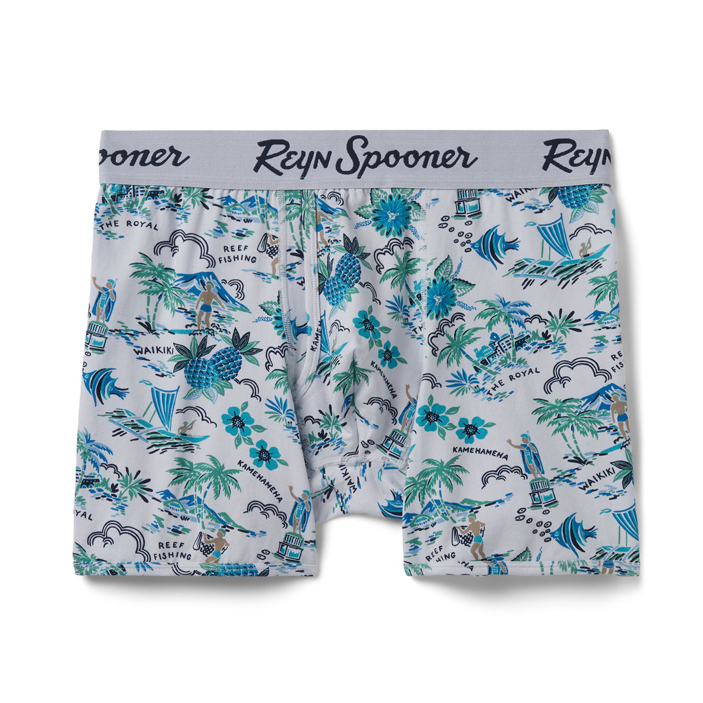 Reyn Spooner SPOONER STYLE BOXER BRIEF in WHITE